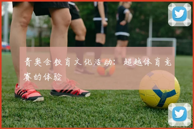 青奥会教育文化活动：超越体育竞赛的体验