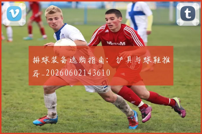 排球装备选购指南：护具与球鞋推荐_20260602143610