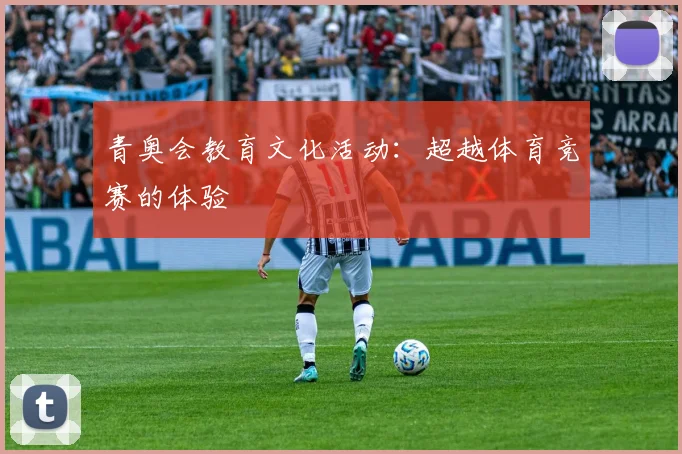 青奥会教育文化活动：超越体育竞赛的体验
